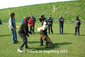Peter Scherk Augsburg 2011