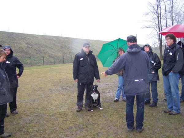 Wir h�ren die Tips